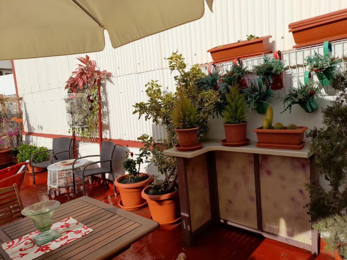 Апартаменти La Terraza Вінарос Екстер'єр фото
